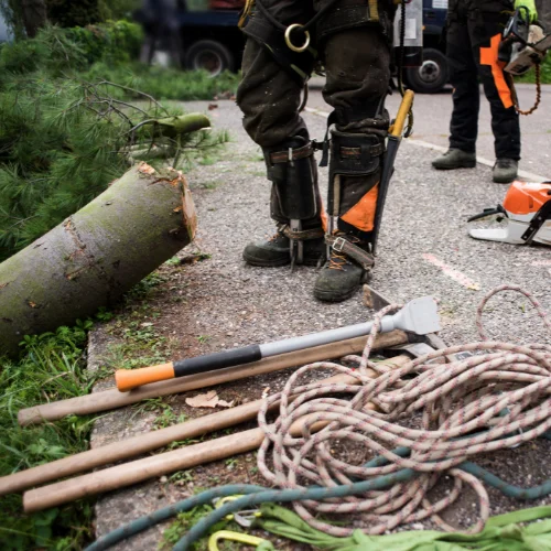 Travaux-sur-corde